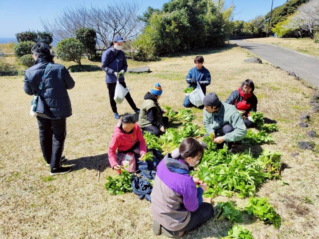 収穫後はみんなで仕分け作